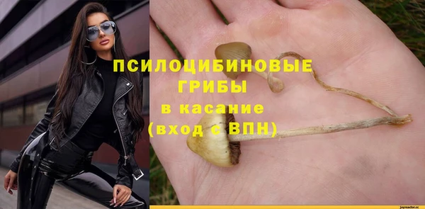 mdpv Аркадак