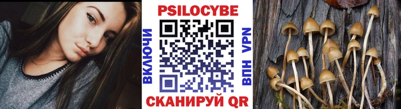 darknet формула  Фурманов  Псилоцибиновые грибы мицелий 